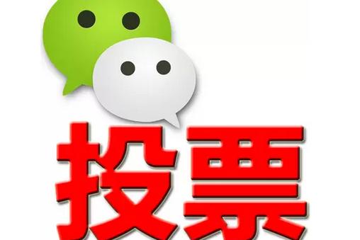 黄石市微信投票功能开发 上传图片投票